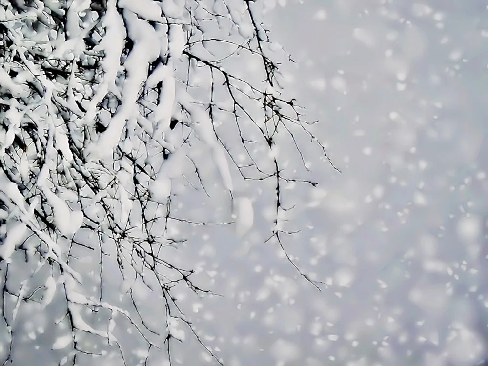 Schönster Schneefall