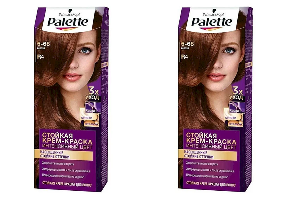 Garnier Frosted Chestnut