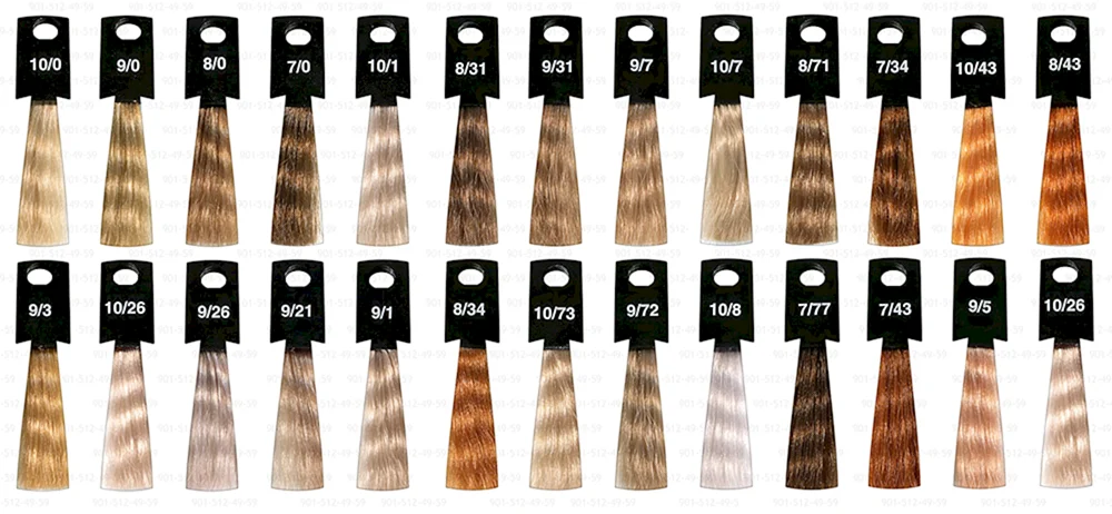 Ollin Megapolis Ölfarbpalette