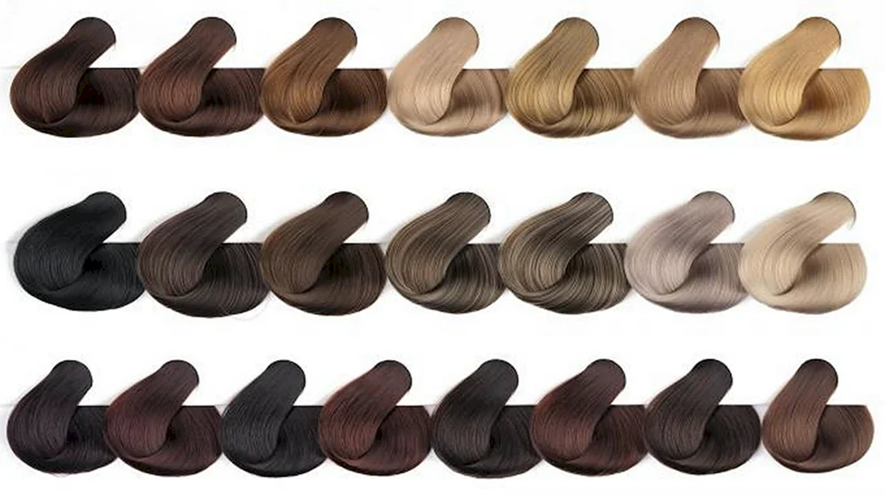 Natural Hair Palette