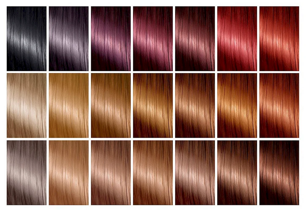 Haarpalette
