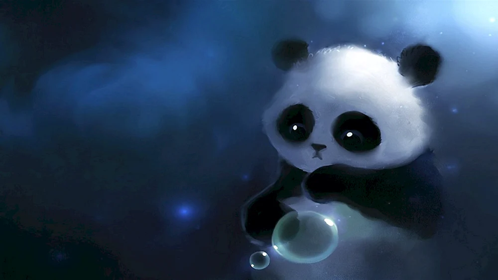 Panda Bilder