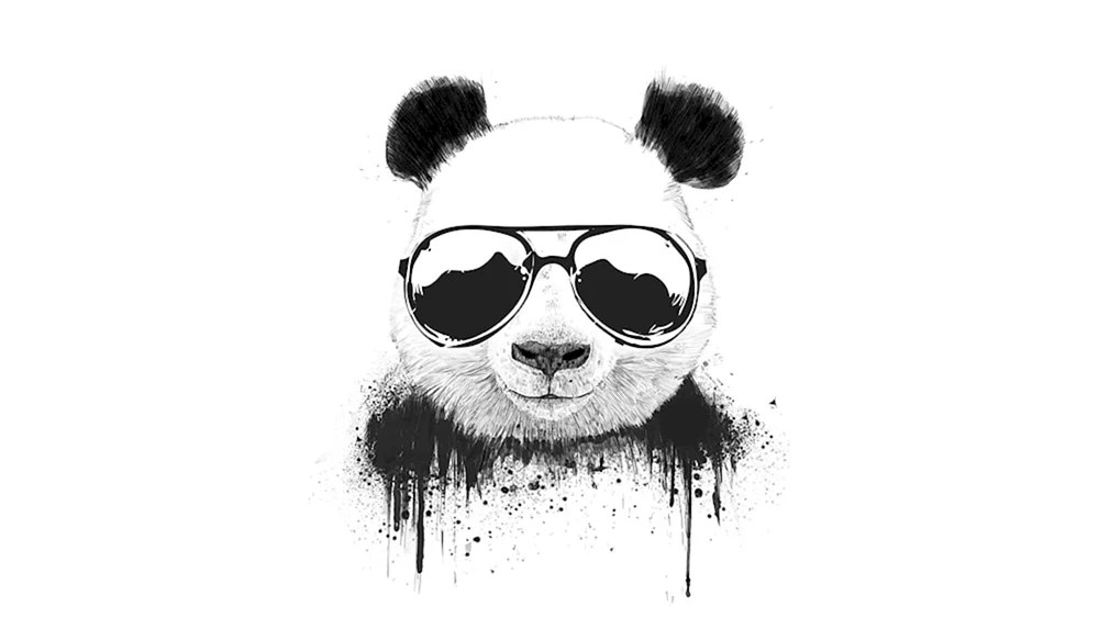 Panda Zeichnung
