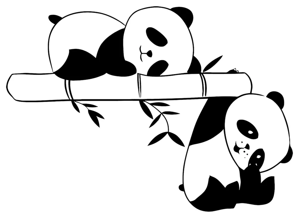 Panda Zeichnung