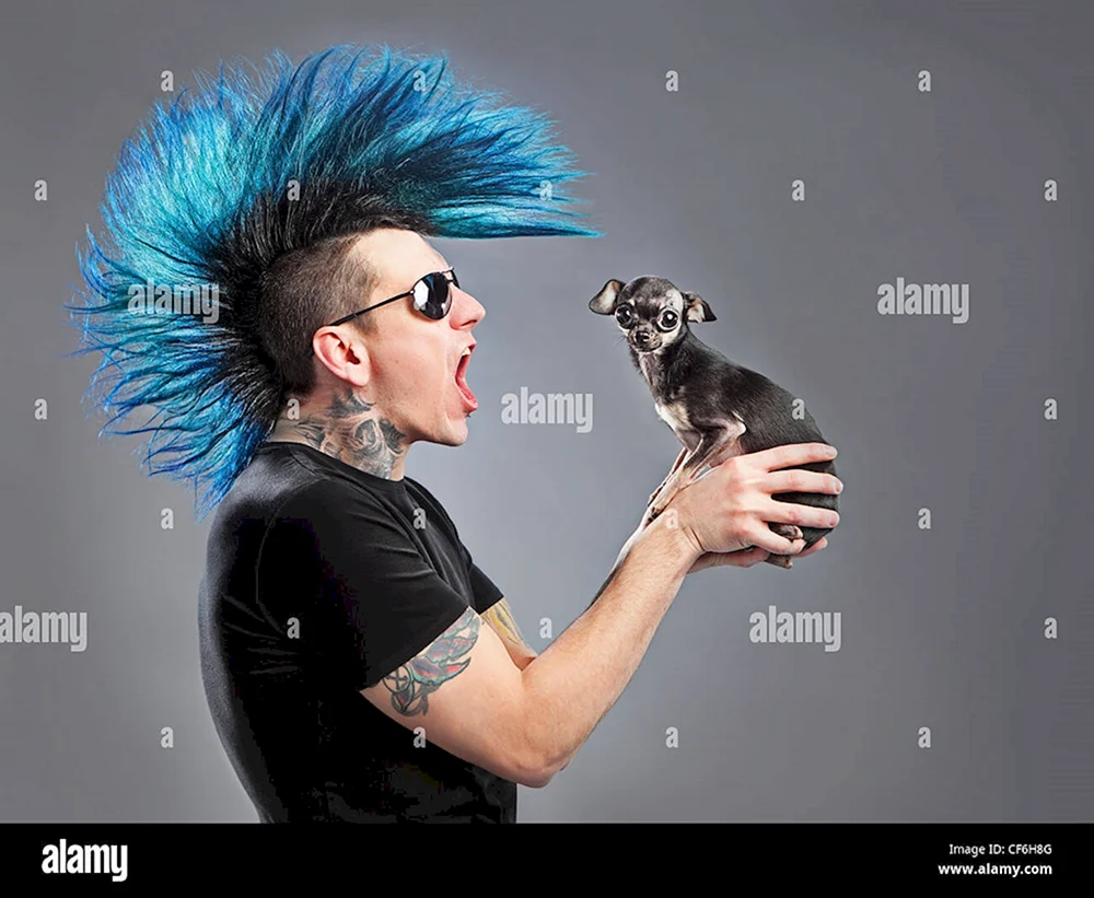 Punk-Haarschnitt Undercat