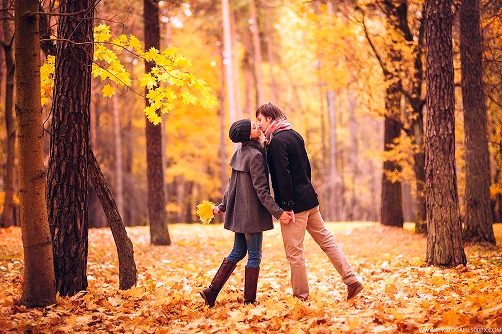 Herbstliebe.