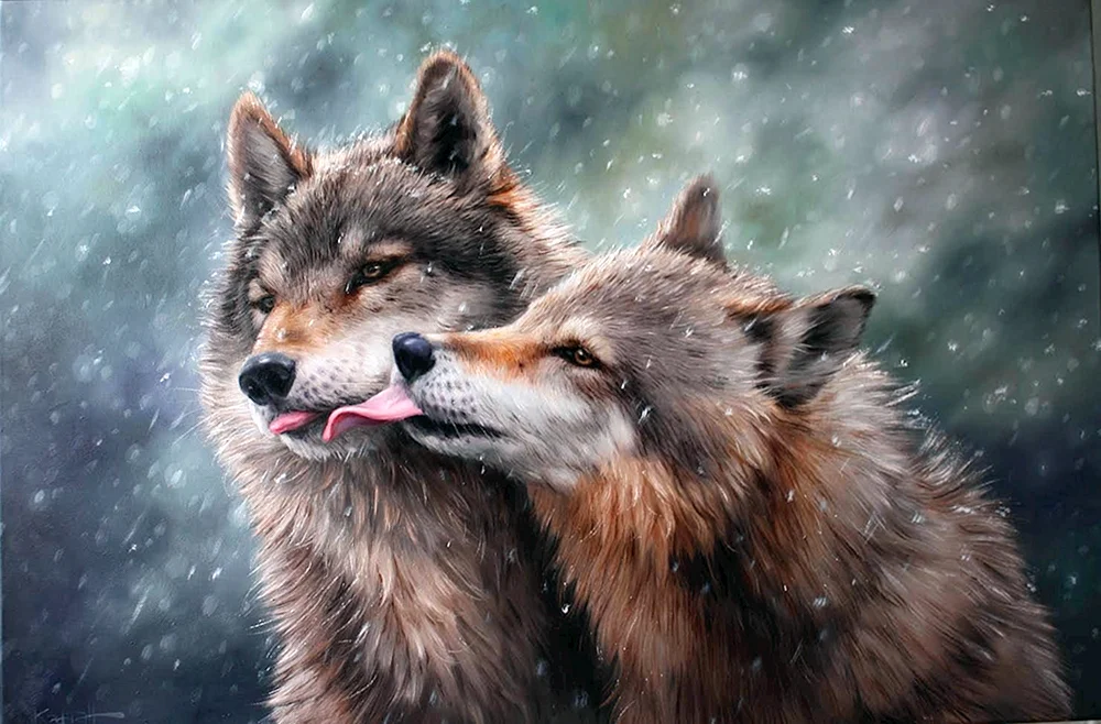 Wolf und Wölfin. Wolf und Wölfin