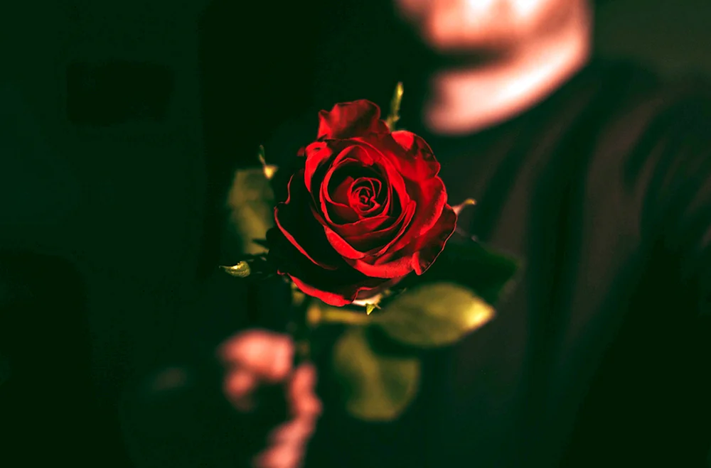 Zarte Blumen in den Händen