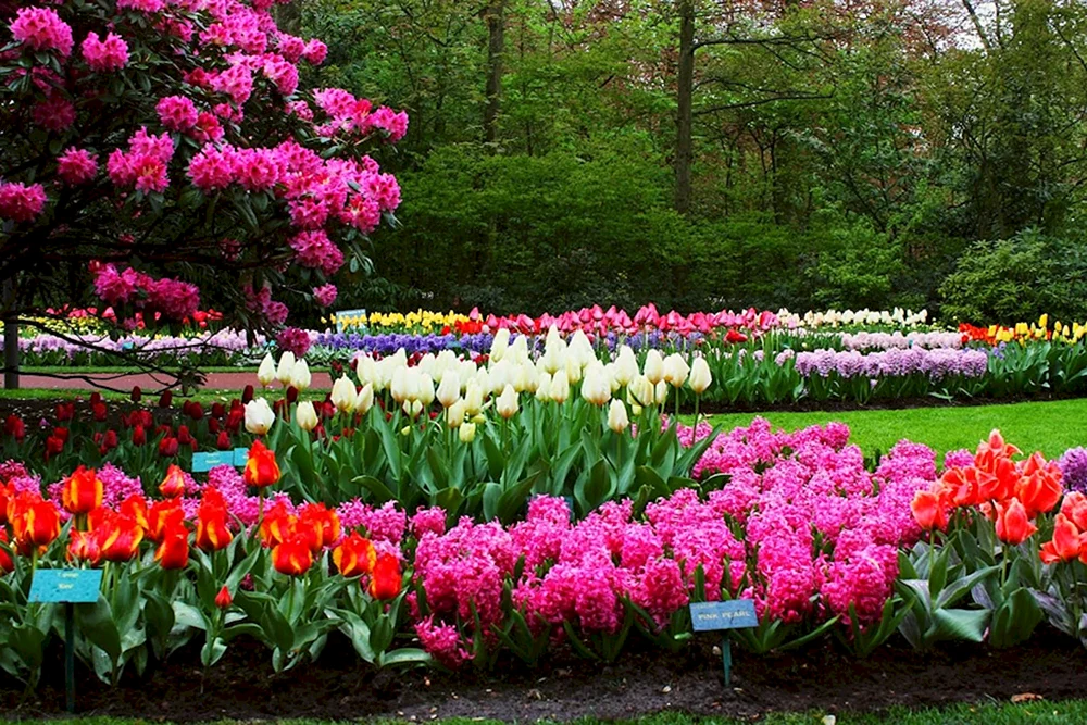 Schöner Blumenstrauß
