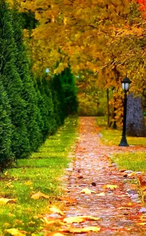 Park Ahornallee im Herbst