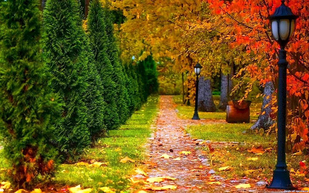 Park Ahornallee im Herbst