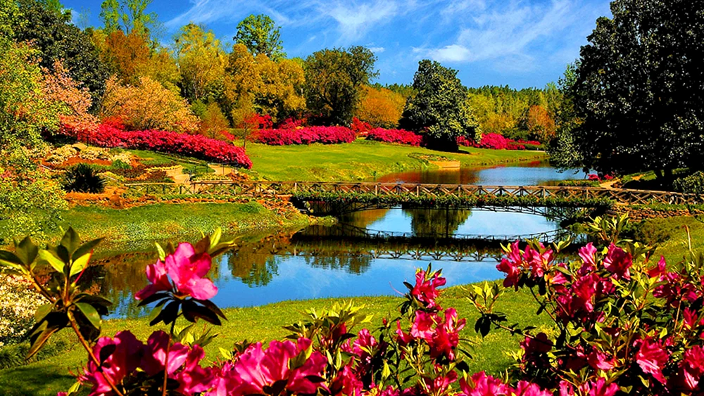 Rose Valley Bulgarien