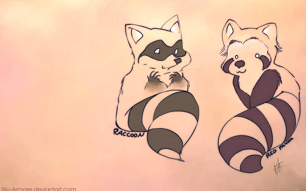 Waschbär Ausmalen für Kinder