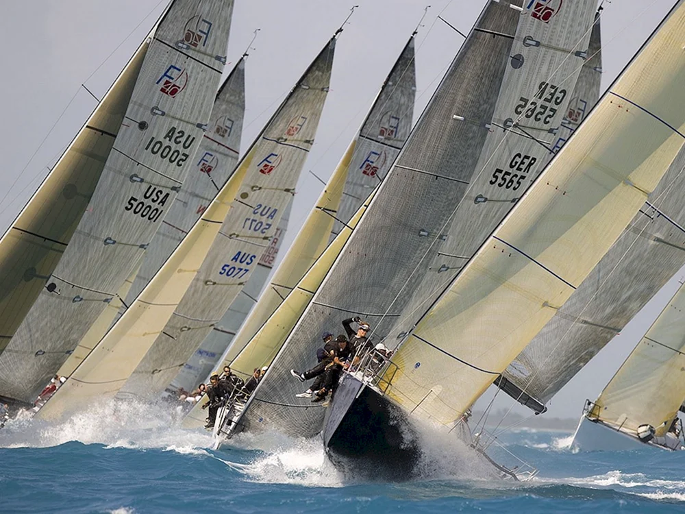 Yacht Regatta