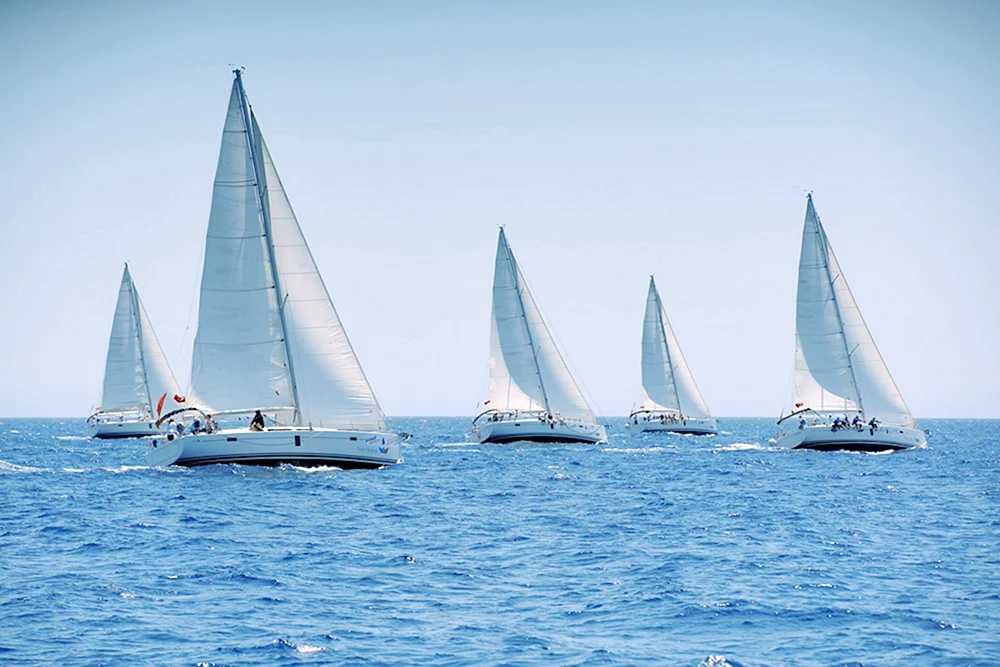 Segelregatta