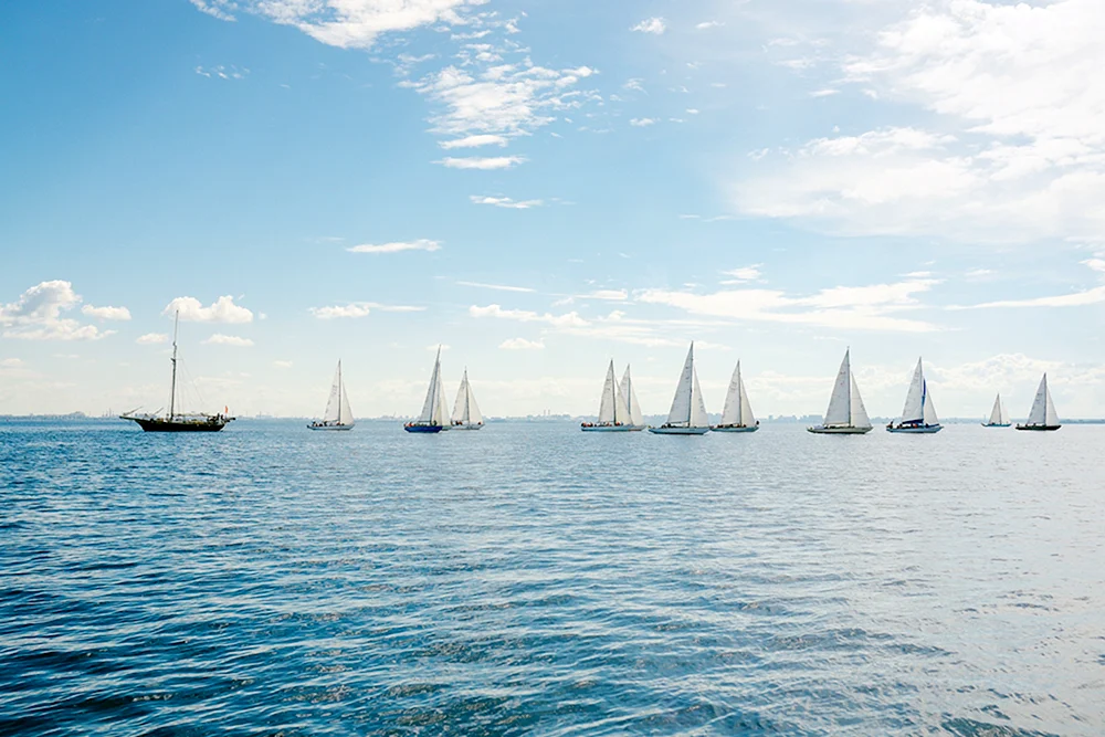 Yacht regatta