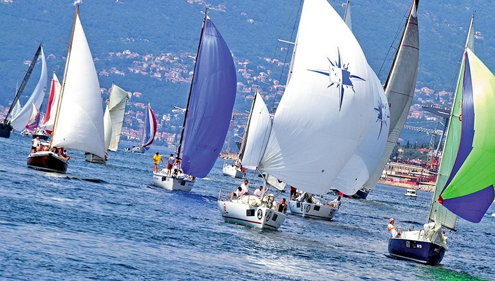 Segeln Regatta