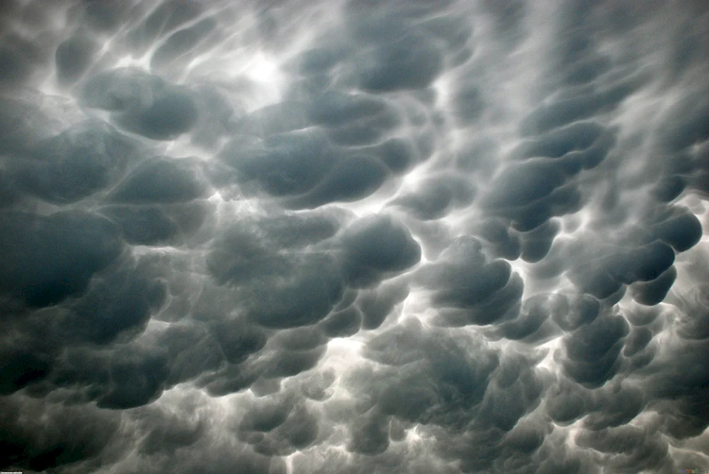 Banner-Hintergrund