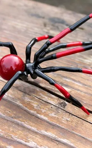 Rote Spinne Schwarze Witwenspinne. Marienkäfer eresus