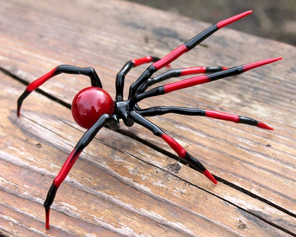 Rote Spinne Schwarze Witwenspinne. Marienkäfer eresus