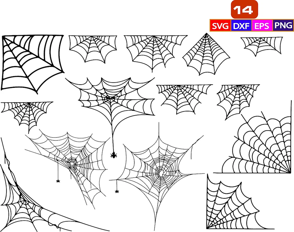 Spiderweb Bleistiftzeichnung