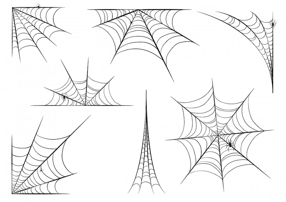 Spiderweb Skizze