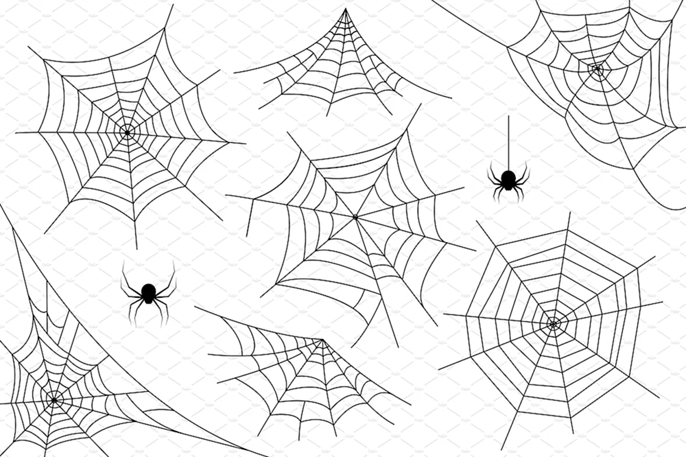 Spiderweb Skizze