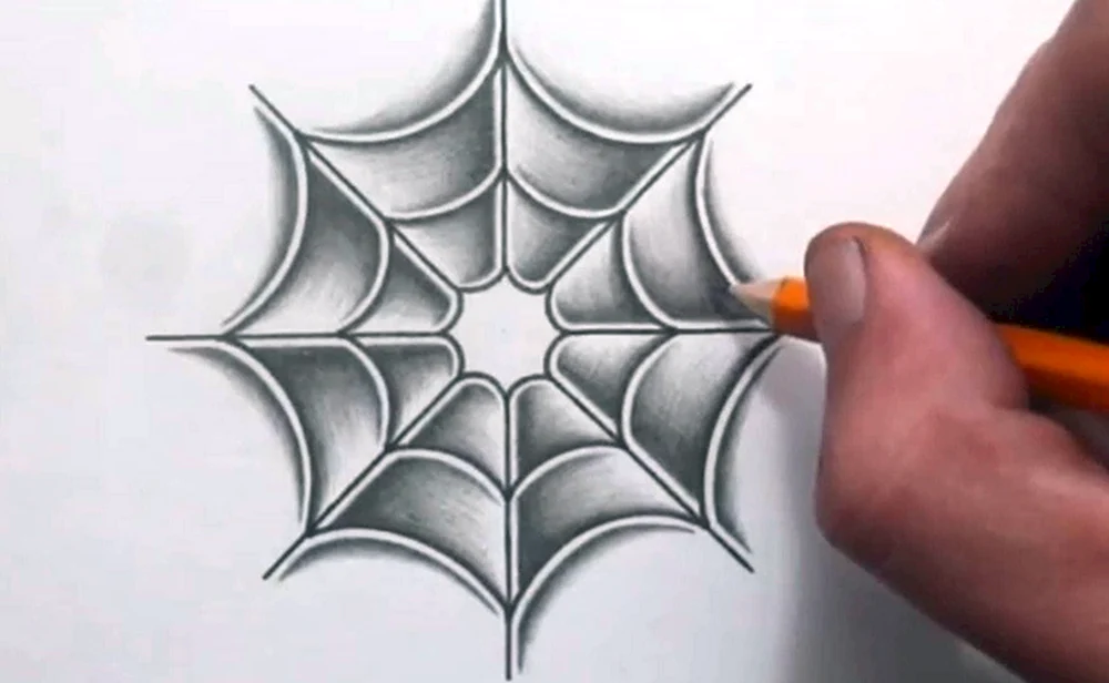 Spiderweb Skizze