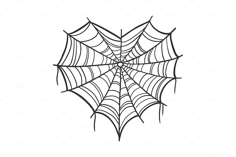 Spiderweb Zeichnung