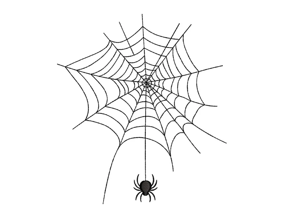Spiderweb auf dem Spinne im Netz