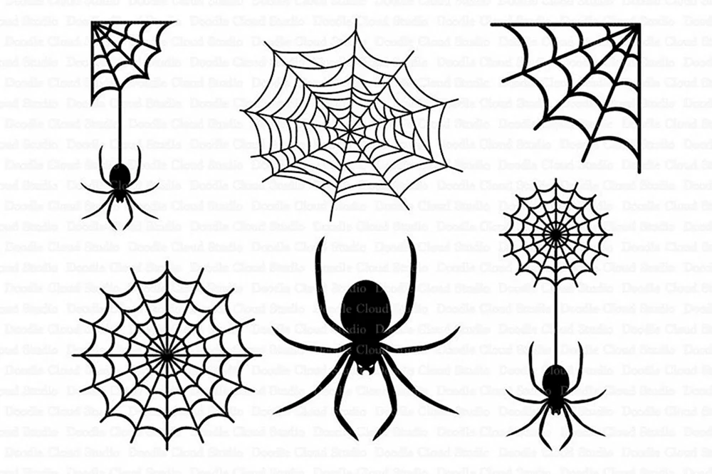 Spiderweb Skizze