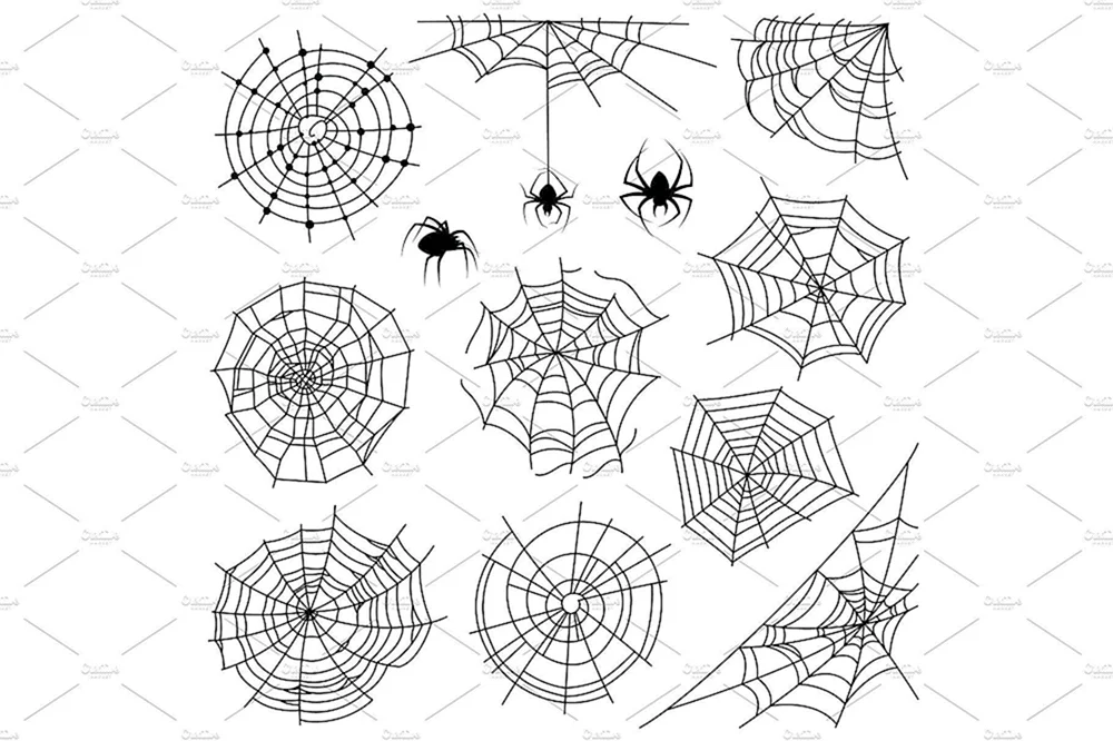 Spiderweb natlokte
