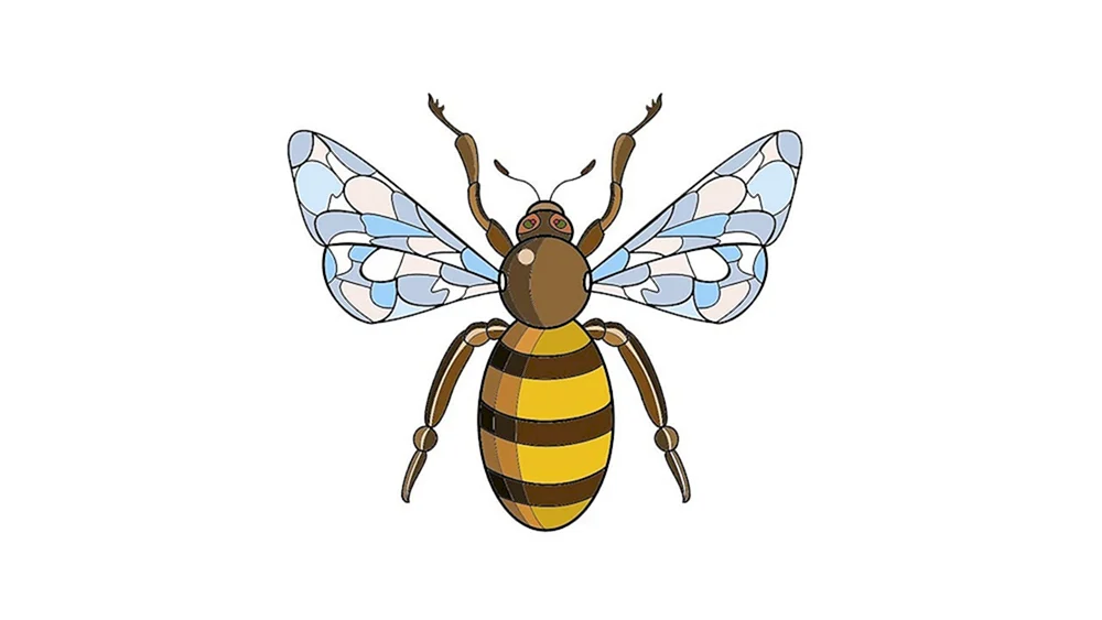 Beeeee Zeichnung