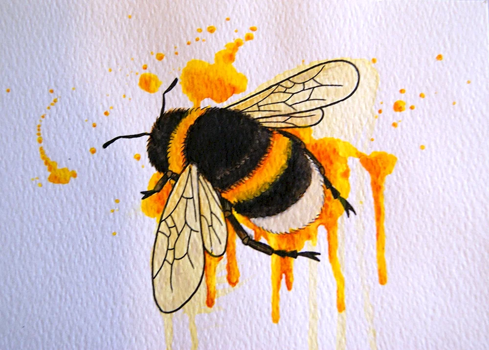 Beeeee Zeichnung