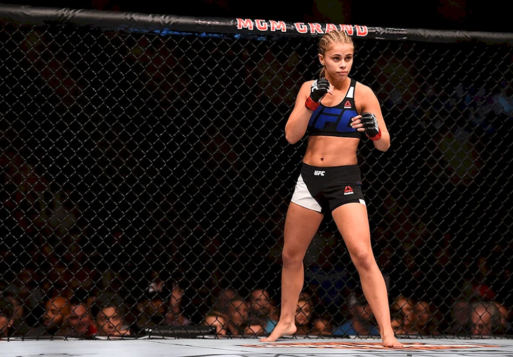 Paigevanzant