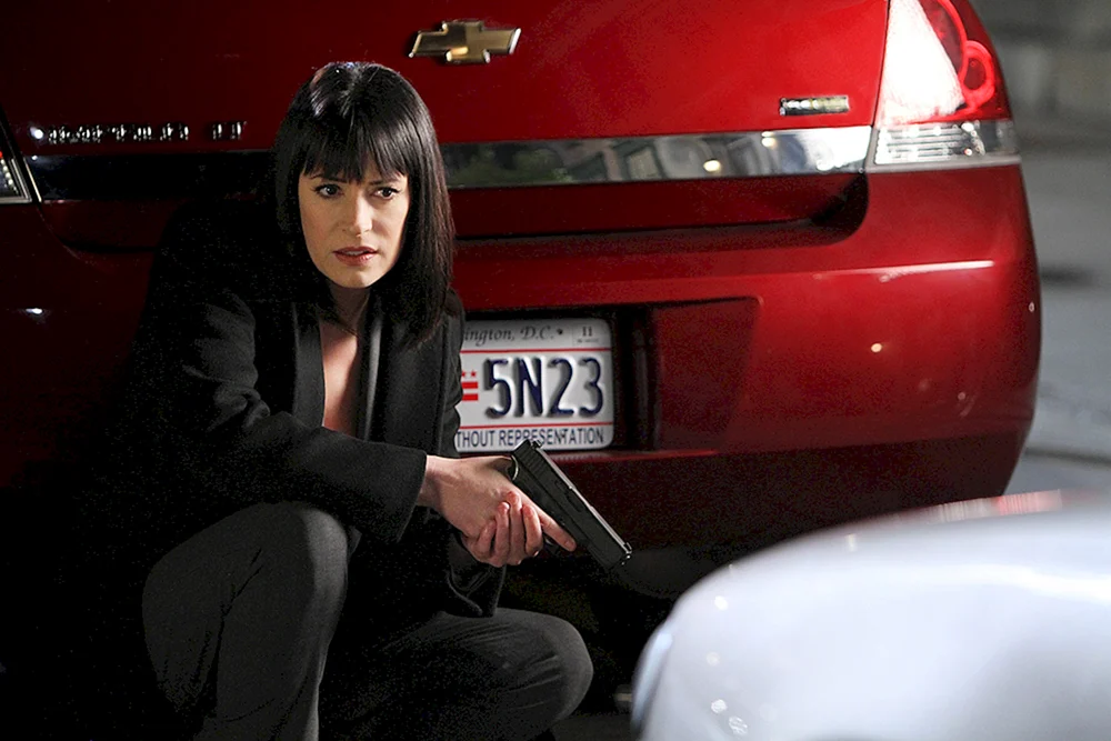 Paget Brewster 2022
