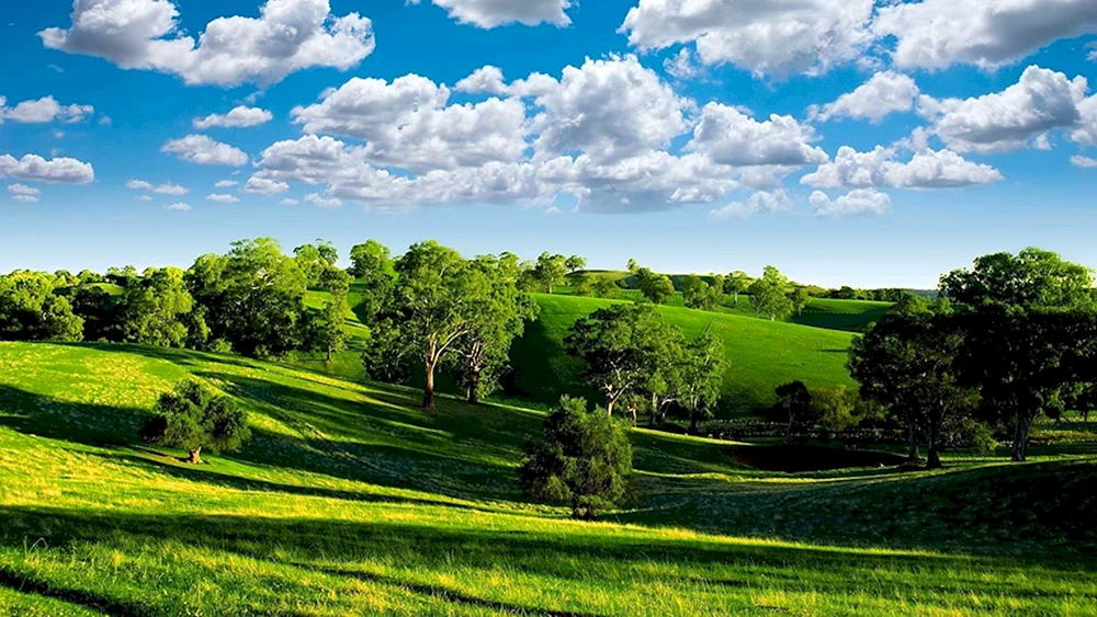 Landschaft