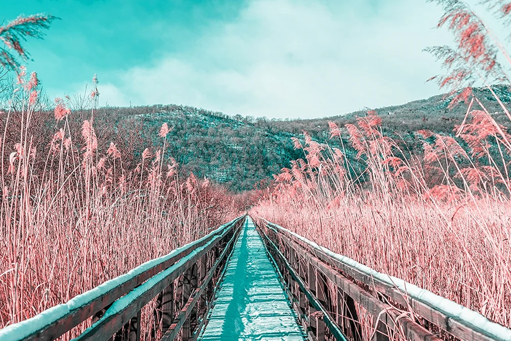 Landschaft Aesthetica