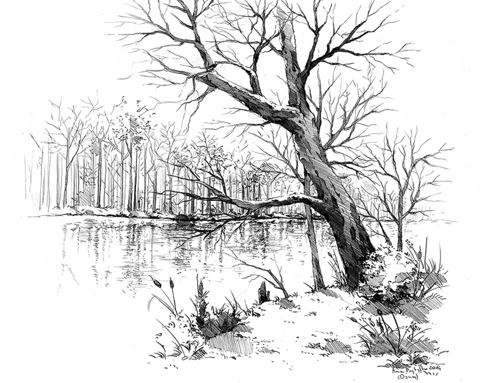 Bleistift Landschaft