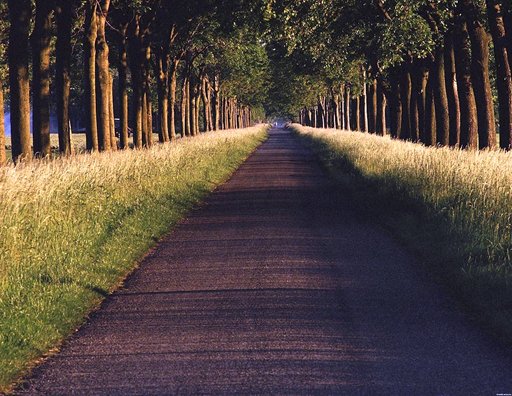 Schöner Hintergrund