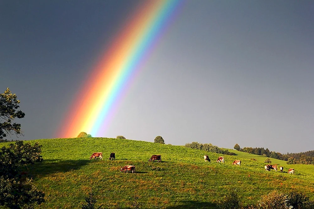 Regenbogenlandschaft mit Regenbogen Robert Duncanson