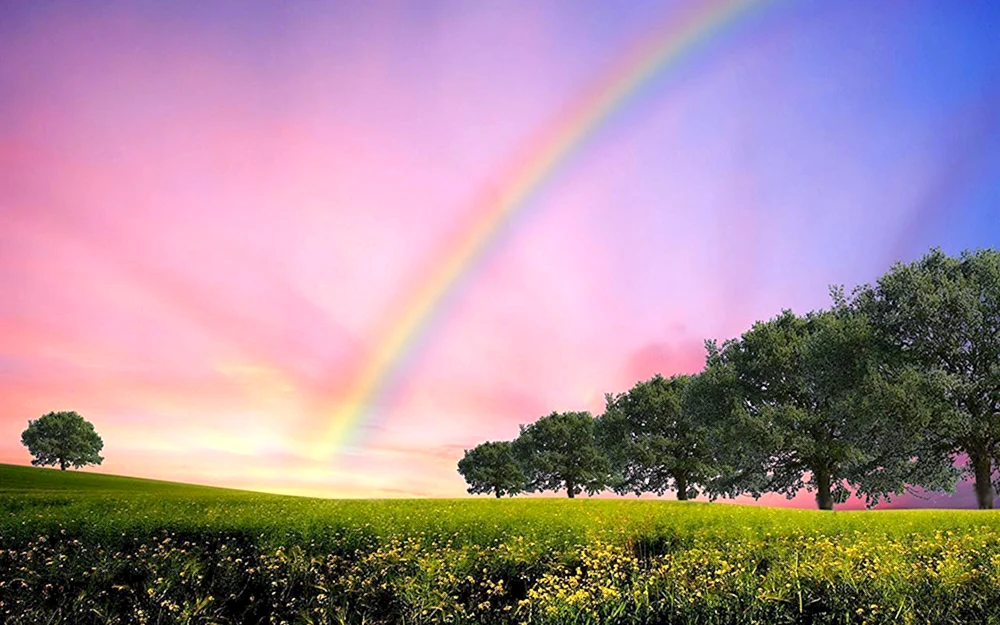 Regenbogen in der Natur