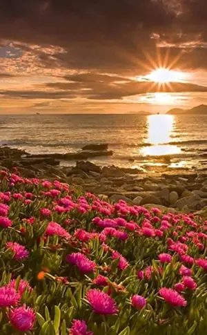 Blumenlandschaft