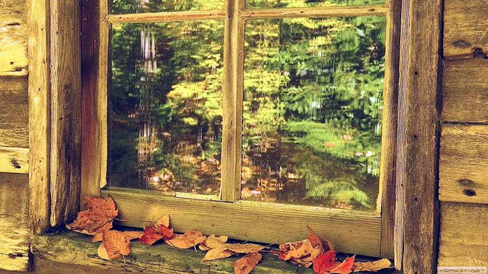 Herbstlandschaft im Fenster