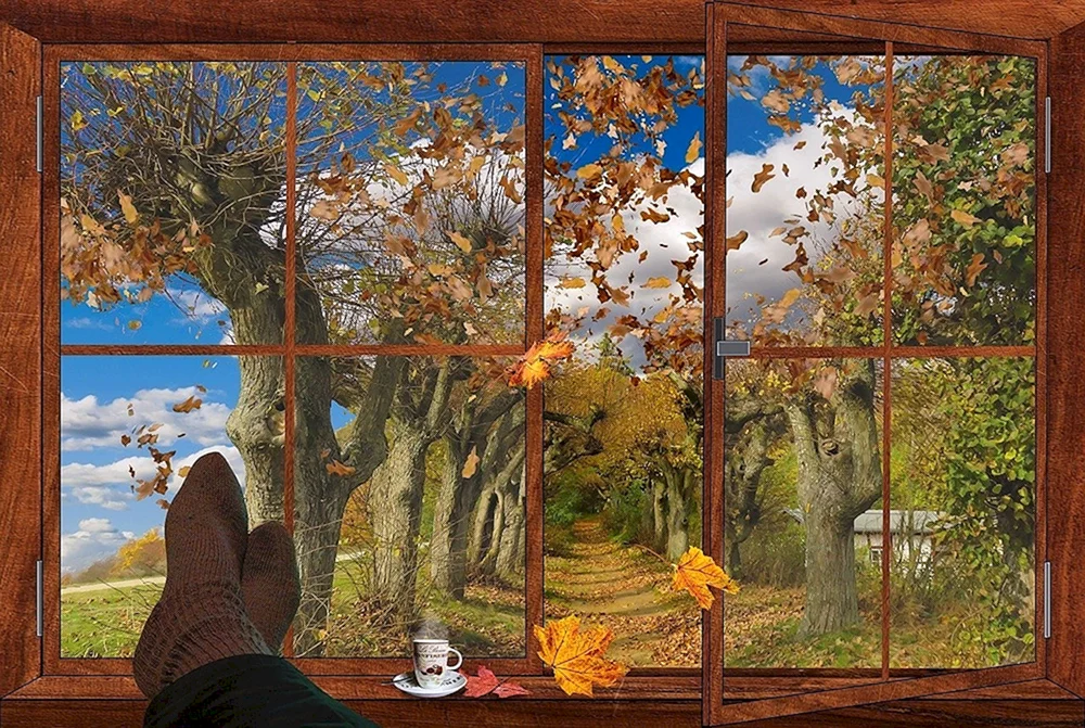 Szenerie außerhalb des Fensters