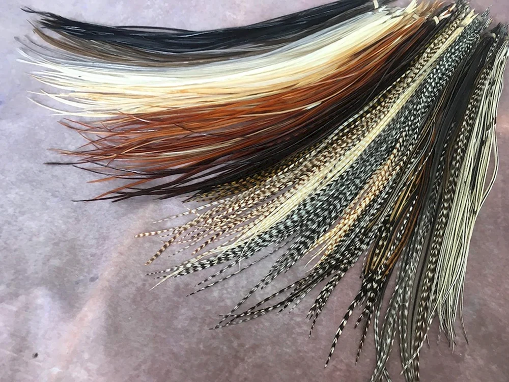 Bunte Federn im Haar
