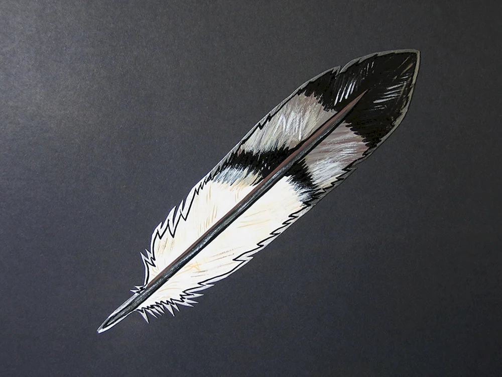 Sperlingsschwanz