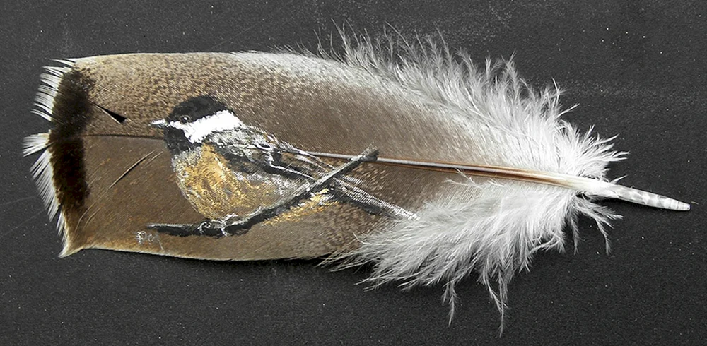 Vogelfedern