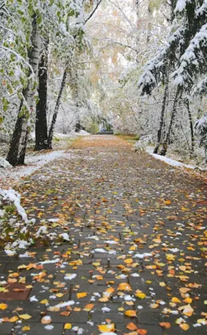 Erster Schnee