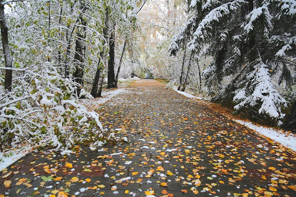 Erster Schnee